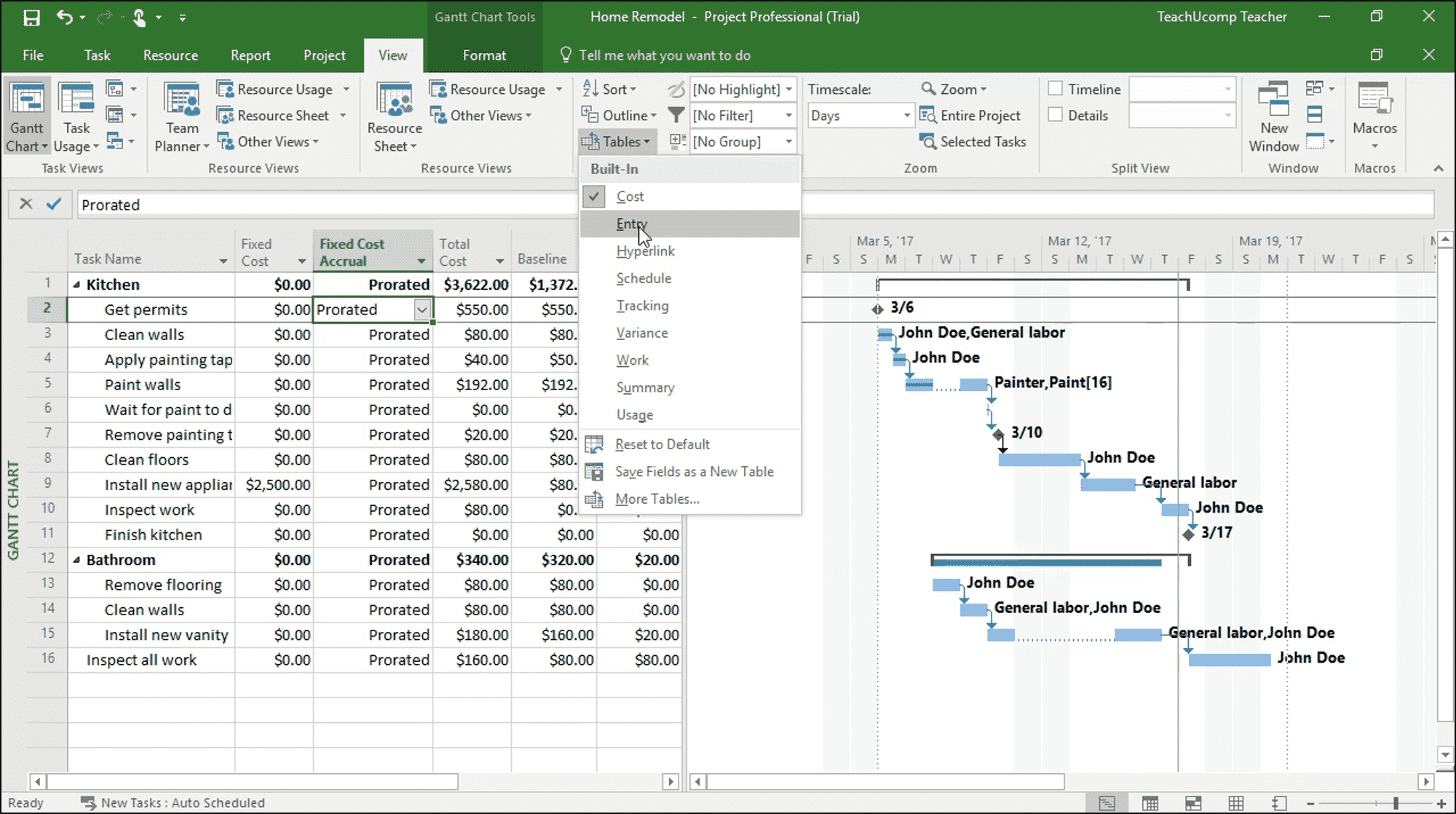 View Project Costs in Microsoft Project - Instructions ...