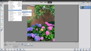 A picture showing how to remove color in Photoshop Elements.