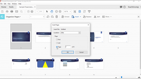 Add Pages to a PDF using Acrobat Pro DC - Instructions: A picture of a user choosing where to add pages to a PDF by using the “Insert Pages” dialog box.