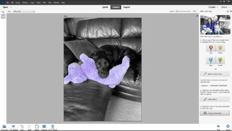 A picture of a user editing a photo in Guided Edit mode in Photoshop Elements.