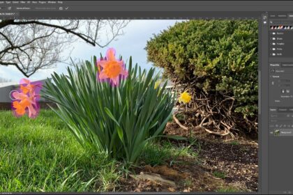 A picture showing how to use the Remove Tool in Photoshop.