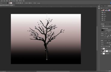 A picture showing how to edit the opacity of a gradient created using the new Gradient Tool in Photoshop.