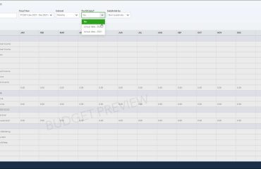 Create a Budget in QuickBooks Online - Instructions: A picture of a user setting budget options in QuickBooks Online Plus.
