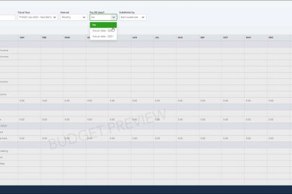 Create a Budget in QuickBooks Online - Instructions: A picture of a user setting budget options in QuickBooks Online Plus.