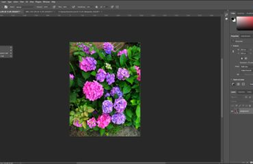 A picture showing how to use the Tools panel in Photoshop to select hidden tool buttons.