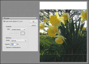 Apply Fills in Photoshop Elements - Tutorial: A picture of the “Fill Layer” dialog box in Photoshop Elements 13.