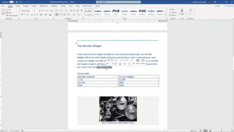 Delete Text in Word- Instructions: A picture of a user selecting the text to delete in a Word document.