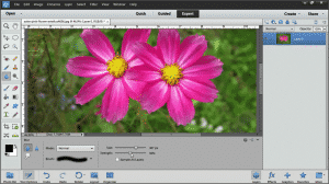 Blur or Sharpen Images in Photoshop Elements 12- A picture of the "Blur Tool" being used in Photoshop Elements 12.