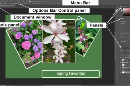 A picture showing the locations of the Menu Bar, Options bar Control panel, document window, Tools panel, and other panels in the default Photoshop workspace.