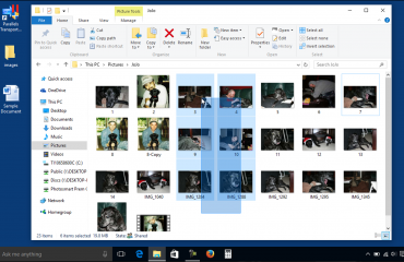 Select Files in Windows - Instructions and Video Lesson: A picture of a user selecting files in Windows using a selection marquee.