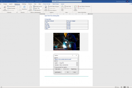 Add Captions in Word - Instructions: A picture of a user setting caption options in Word.